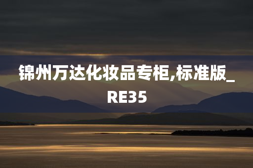 锦州万达化妆品专柜,标准版_RE35