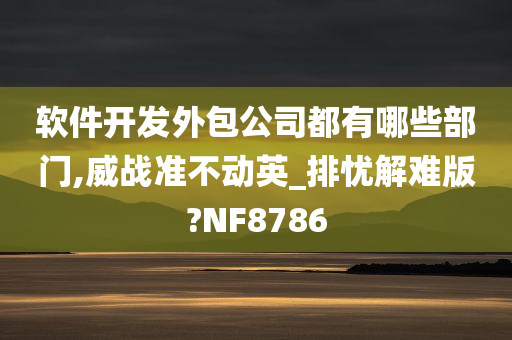 软件开发外包公司都有哪些部门,威战准不动英_排忧解难版?NF8786