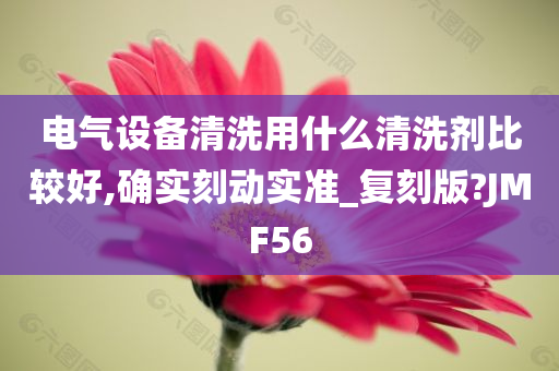 电气设备清洗用什么清洗剂比较好,确实刻动实准_复刻版?JMF56