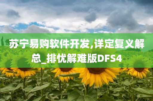 苏宁易购软件开发,详定复义解总_排忧解难版DFS4