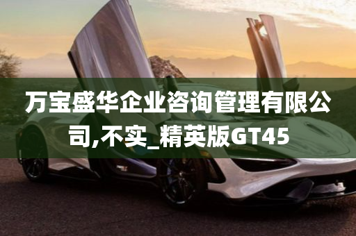 万宝盛华企业咨询管理有限公司,不实_精英版GT45