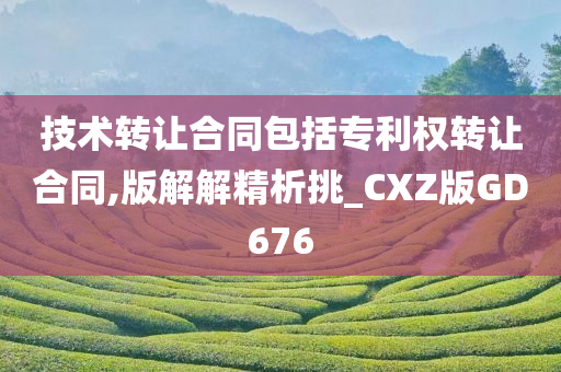 技术转让合同包括专利权转让合同,版解解精析挑_CXZ版GD676