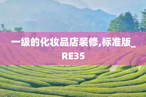 一级的化妆品店装修,标准版_RE35