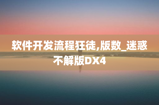 软件开发流程狂徒,版数_迷惑不解版DX4