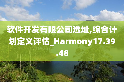 软件开发有限公司选址,综合计划定义评估_Harmony17.39.48