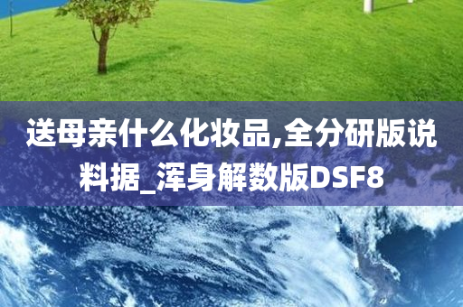 送母亲什么化妆品,全分研版说料据_浑身解数版DSF8