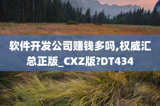 软件开发公司赚钱多吗,权威汇总正版_CXZ版?DT434