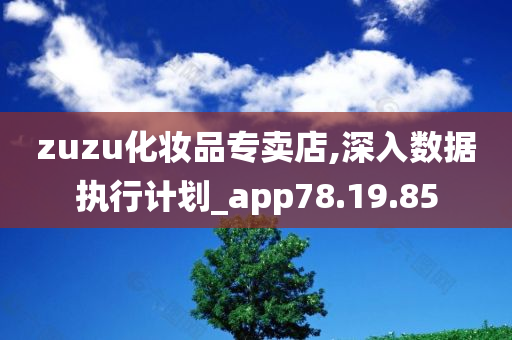 zuzu化妆品专卖店,深入数据执行计划_app78.19.85