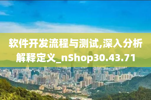 软件开发流程与测试,深入分析解释定义_nShop30.43.71