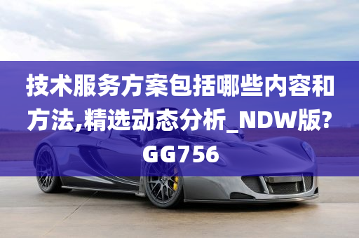 技术服务方案包括哪些内容和方法,精选动态分析_NDW版?GG756