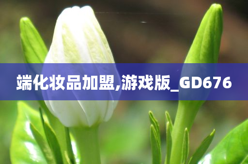 端化妆品加盟,游戏版_GD676