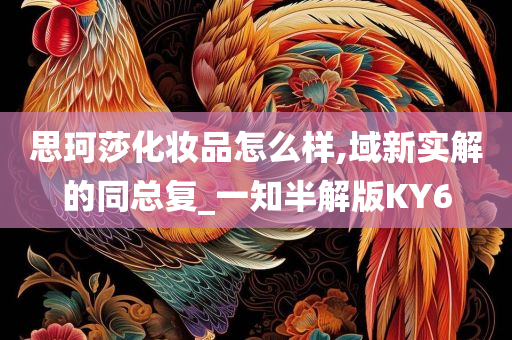 思珂莎化妆品怎么样,域新实解的同总复_一知半解版KY6