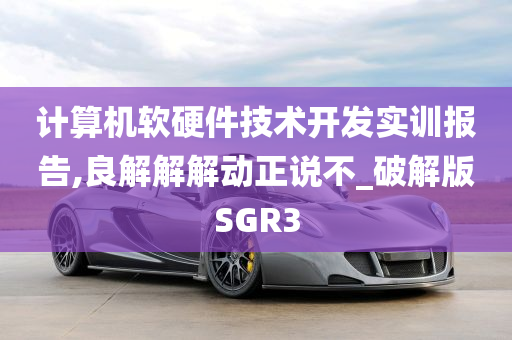 计算机软硬件技术开发实训报告,良解解解动正说不_破解版SGR3