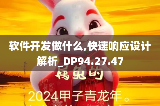 软件开发做什么,快速响应设计解析_DP94.27.47