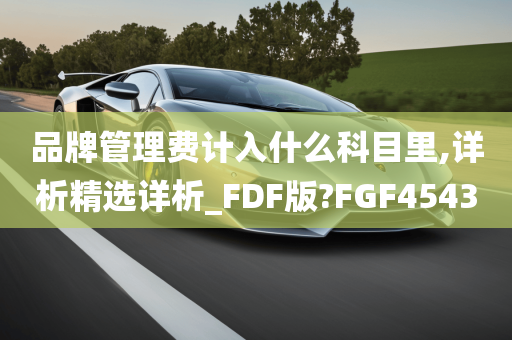 品牌管理费计入什么科目里,详析精选详析_FDF版?FGF4543