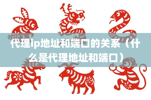 代理ip地址和端口的关系（什么是代理地址和端口）