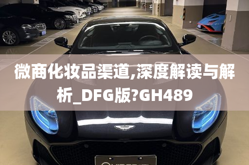 微商化妆品渠道,深度解读与解析_DFG版?GH489