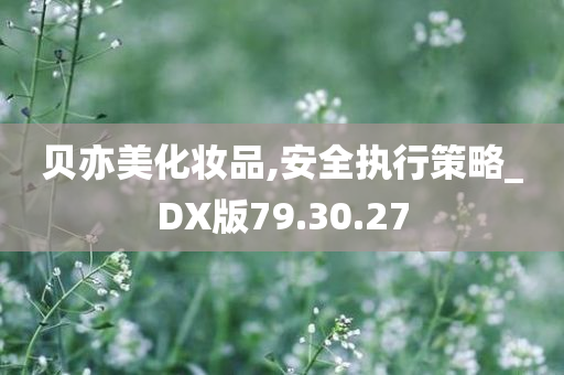 贝亦美化妆品,安全执行策略_DX版79.30.27