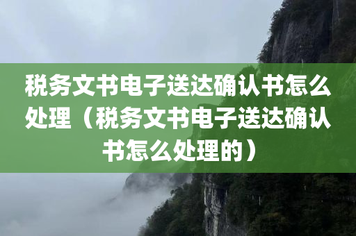 税务文书电子送达确认书怎么处理（税务文书电子送达确认书怎么处理的）