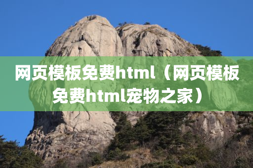 网页模板免费html（网页模板免费html宠物之家）